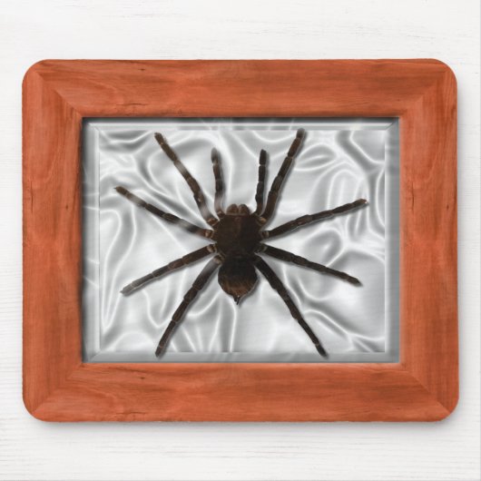 Specimen Box - Tarantula Muismat (Voorkant)