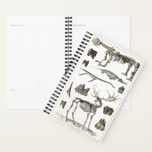 Specimens uit dierlijk bot structuren 2022 planner (Display)