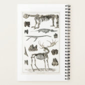 Specimens uit dierlijk bot structuren 2022 planner (Achterkant)