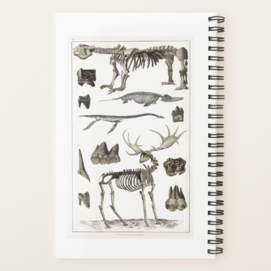 Specimens uit dierlijk bot structuren 2022 planner (Achterkant)