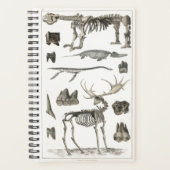 Specimens uit dierlijk bot structuren 2022 planner (Voorkant)