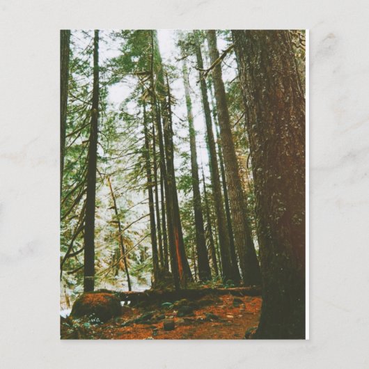 Speck Hoesje Flyer (Achterkant)