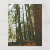 Speck Hoesje Flyer (Voorkant)