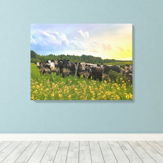 Speckle Park vee onder regendouche, zonsondergang  Canvas Afdruk (Insitu (Houten vloer))