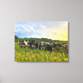 Speckle Park vee onder regendouche, zonsondergang  Canvas Afdruk (Voorkant)