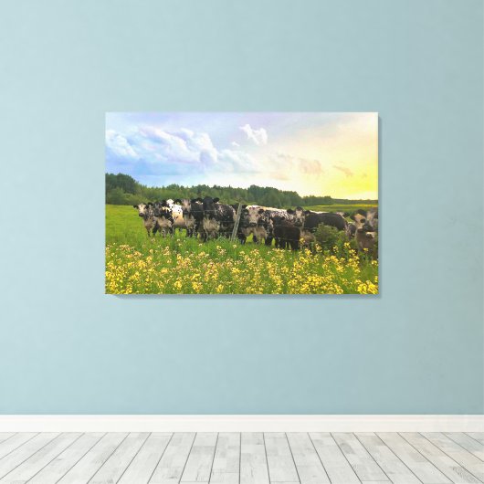 Speckle Park vee onder regendouche, zonsondergang Canvas Afdruk (Insitu (Houten vloer))