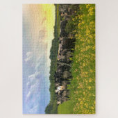 Speckle Park vee onder regendouche, zonsondergang Legpuzzel (Verticaal)