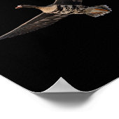 Specklebelly Goose Shirt Witte Gans Byr B Poster (Hoek)