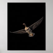Specklebelly Goose Shirt Witte Gans Byr B Poster (Voorkant)