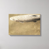 Speckles Canvas Afdruk (Voorkant)