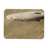 Speckles Magneet (Horizontaal)