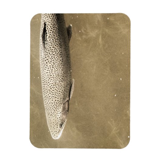 Speckles Magneet (Verticaal)