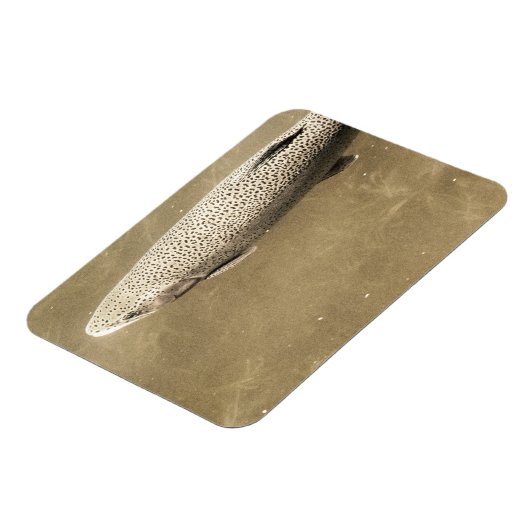 Speckles Magneet (Linkerzijde)