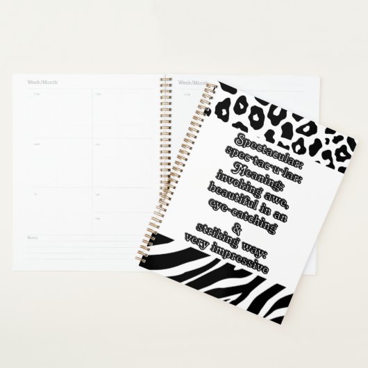 Spectaculair: Definitie spec·tac·u·lar Planner (Display)
