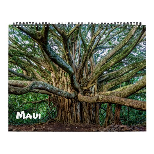 Spectaculair Maui Kalender (Hoes)