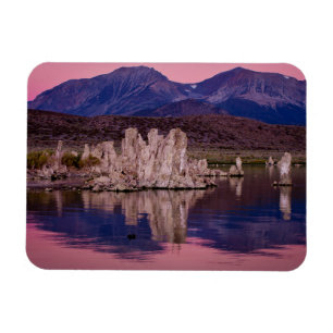 Spectaculair Mono Lake in de Schaduw Magneet