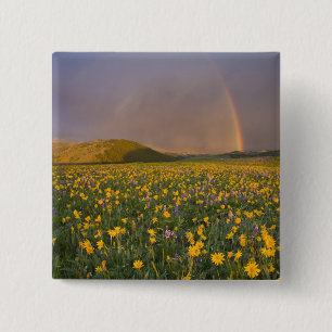 Spectaculair weiland met wilde bloemen bij zonsopg vierkante button 5,1 cm