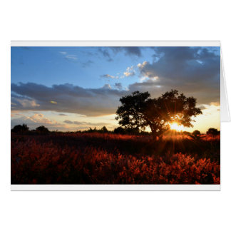 Spectaculaire Afrikaanse zonsondergang