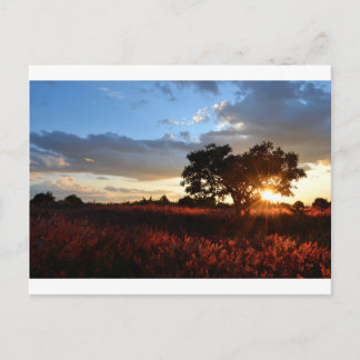 Spectaculaire Afrikaanse zonsondergang Briefkaart