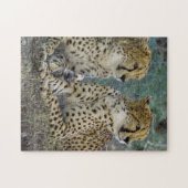 Spectaculaire Cheetah Legpuzzel (Horizontaal)