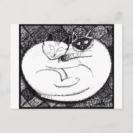 Spectaculaire katten 3 briefkaart (Voorkant)