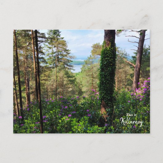Spectaculaire Killarney- Ierland Briefkaart (Voorkant)