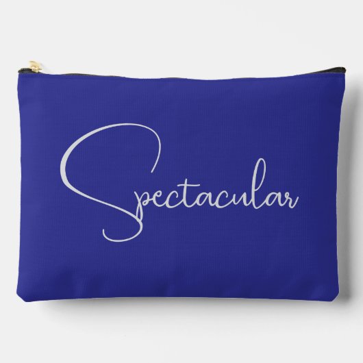 Spectaculaire kleine accessoiretas etui (Voorkant)
