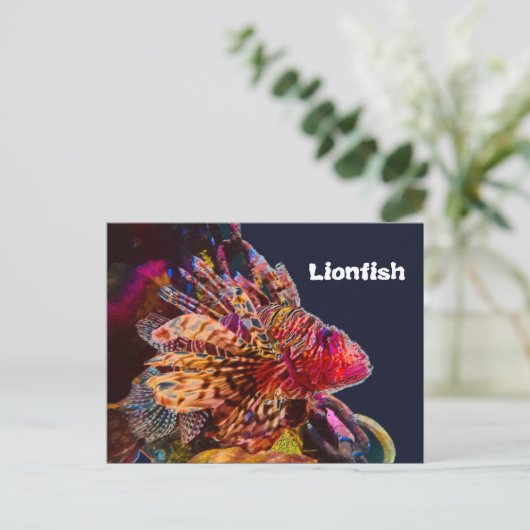 spectaculaire luiervis briefkaart (Staand voorkant)