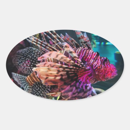 spectaculaire luiervis ovale sticker (Voorkant)