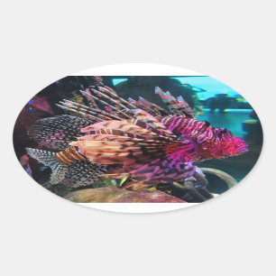 spectaculaire luiervis ovale sticker