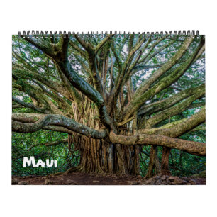spectaculaire Maui Kalender