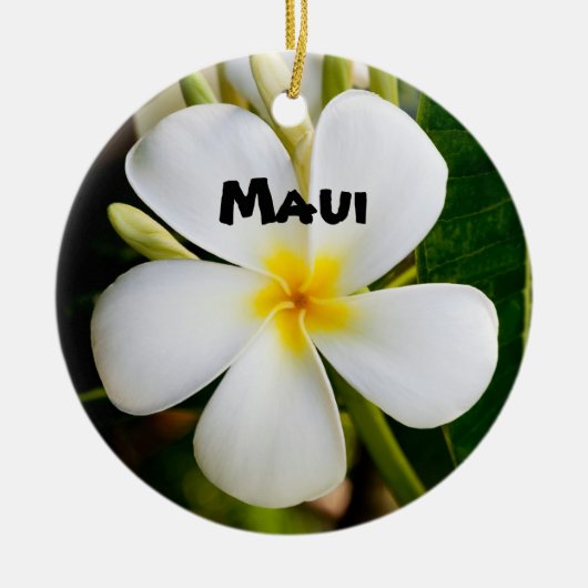 spectaculaire Maui Keramisch Ornament (Voorkant)