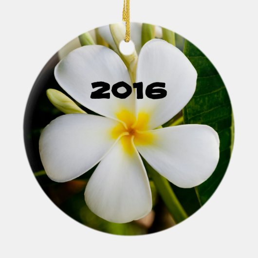 spectaculaire Maui Keramisch Ornament (Achterkant)