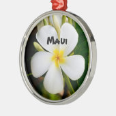 spectaculaire Maui Metalen Ornament (Links)