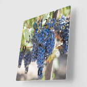 spectaculaire paarse druiven vierkante klok (Hoek)