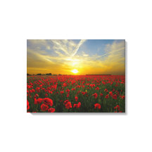 Spectaculaire rode klaprozen