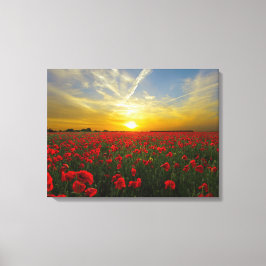 Spectaculaire rode klaprozen canvas afdruk