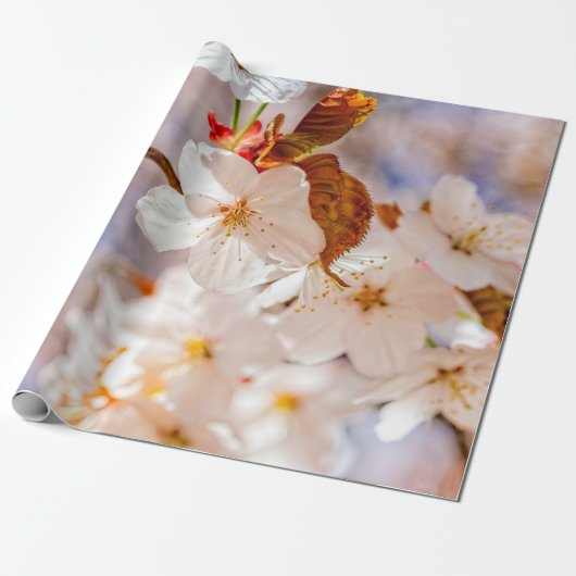 Spectaculaire Sakura Flowers. Hanami Season Cadeaupapier (Uitgerold)
