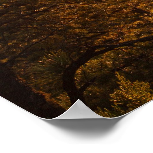 Spectaculaire Santa Fe Sunset: Hoge woestijn Foto Poster (Hoek)