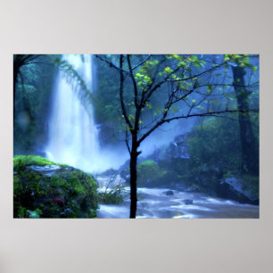 Spectaculaire tropische waterval poster
