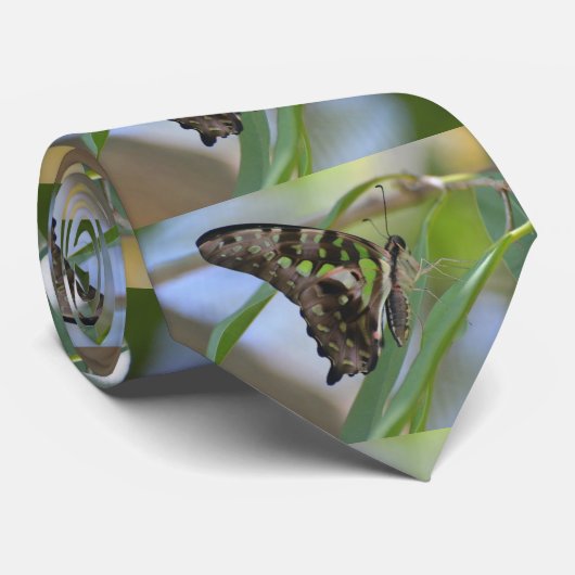 spectaculaire vlinder stropdas (Opgerold)