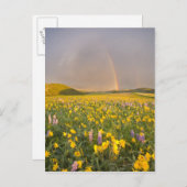 Spectaculaire wildbloemweide bij zonsopgang 2 briefkaart (Voorkant / Achterkant)