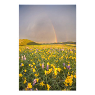 Spectaculaire wildbloemweide bij zonsopgang 2 foto afdruk