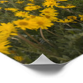 Spectaculaire wildbloemweide bij zonsopgang in poster (Hoek)