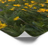 Spectaculaire wildbloemweide op zonsopgang in de 2 poster (Hoek)