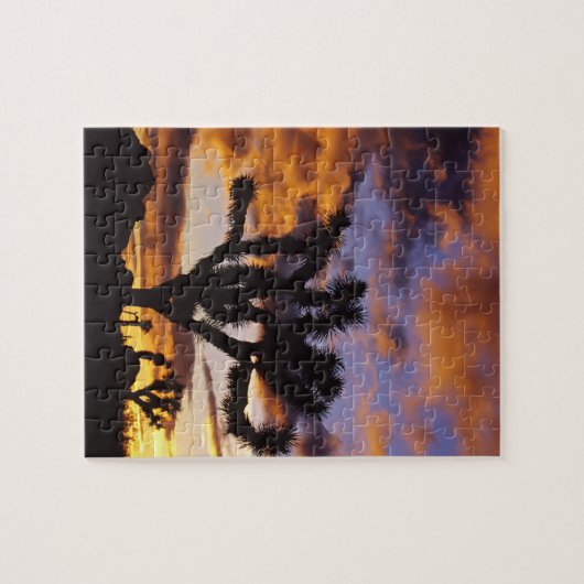 Spectaculaire zon in Joshua Tree National Park Legpuzzel (Horizontaal)