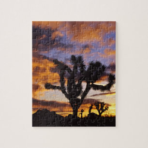 Spectaculaire zon in Joshua Tree National Park Legpuzzel