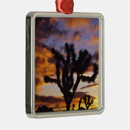 Spectaculaire zon in Joshua Tree National Park Metalen Ornament (Rechts)