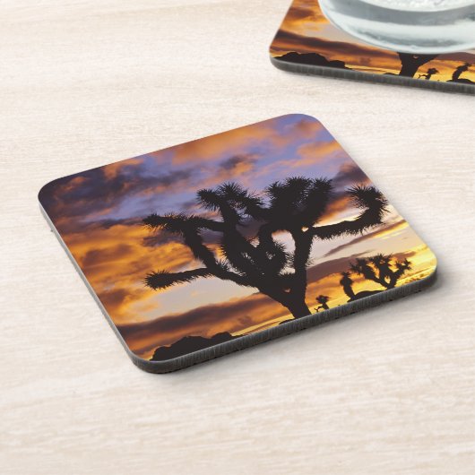 Spectaculaire zon in Joshua Tree National Park Onderzetter (Linkerzijde)