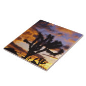 Spectaculaire zon in Joshua Tree National Park Tegeltje (Zijkant)